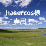 hasercos様　専用！