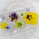iphone5 iphone5s 押し花 スマホケース ビオラ（クリア
