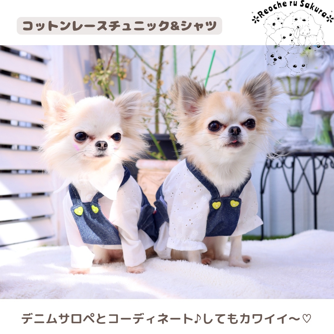 犬服 コットンレース シャツ チュニック ブラウス インナー