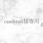 【candytuft様専用ページ】ドライフラワー サクランボ ピアス / イヤリング 【03.candy red】