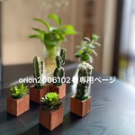 【orion2006102様専用ページ】小さな小さな植木鉢多肉5個セット