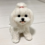 羊毛フェルト　マルチーズ　犬