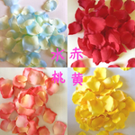 フラワーシャワー 花びら
