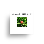 dh-voxy様　専用ページ