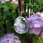 紫陽花にかくれんぶー