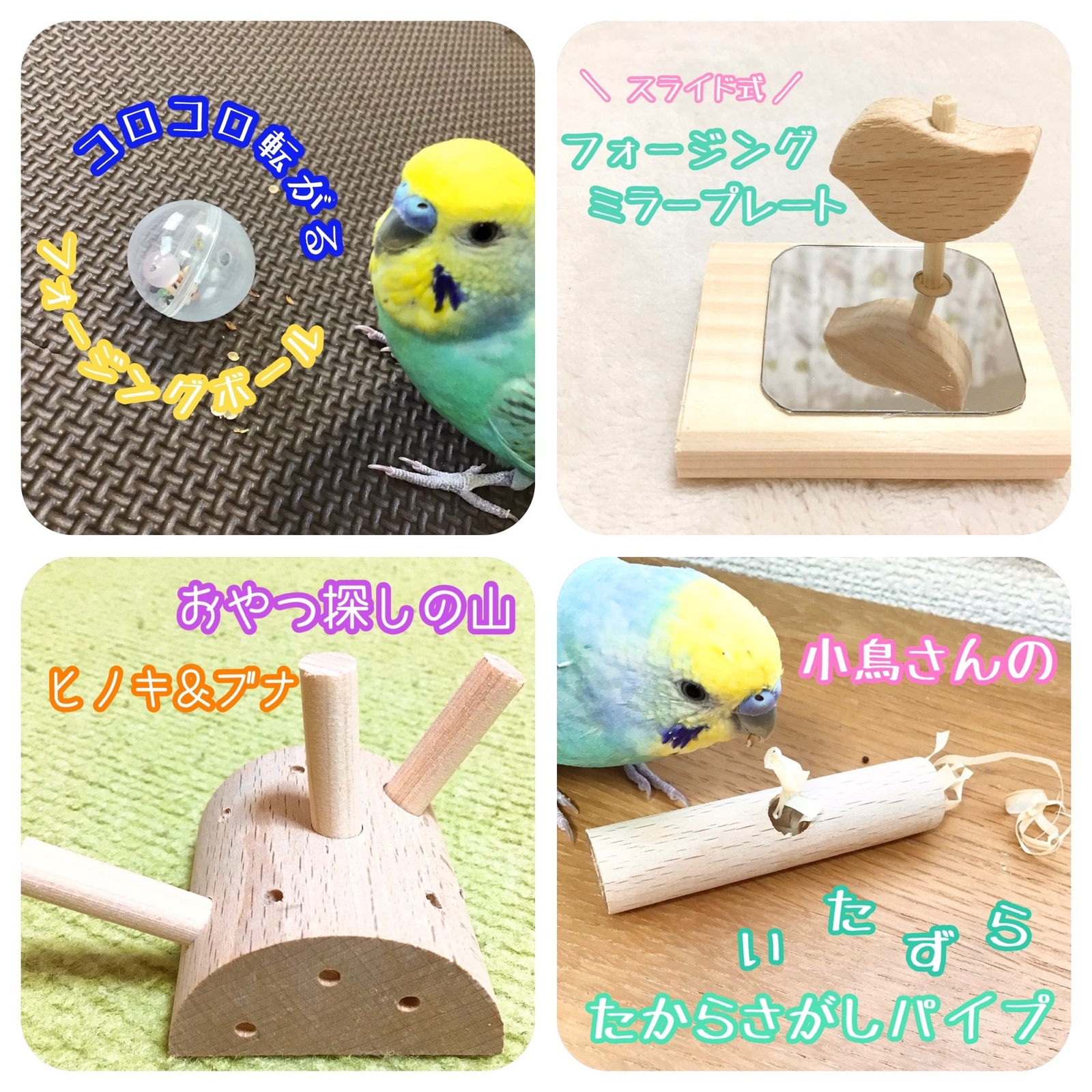 小鳥さんのよくばりフォージングプレート☆インコや文鳥の小鳥の