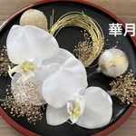 胡蝶蘭髪飾りセット成人式和装振袖結婚式