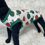 T様オーダー　小型犬　スイカタンクトップ