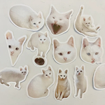 お好きな写真で作れる オリジナルステッカー シール  愛犬グッズ うちの子グッズ 