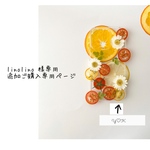 linolino 様専用追加ご購入専用ページ
