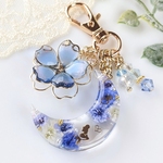 【限定販売品】花月