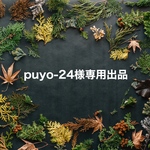 puyo-24様専用出品