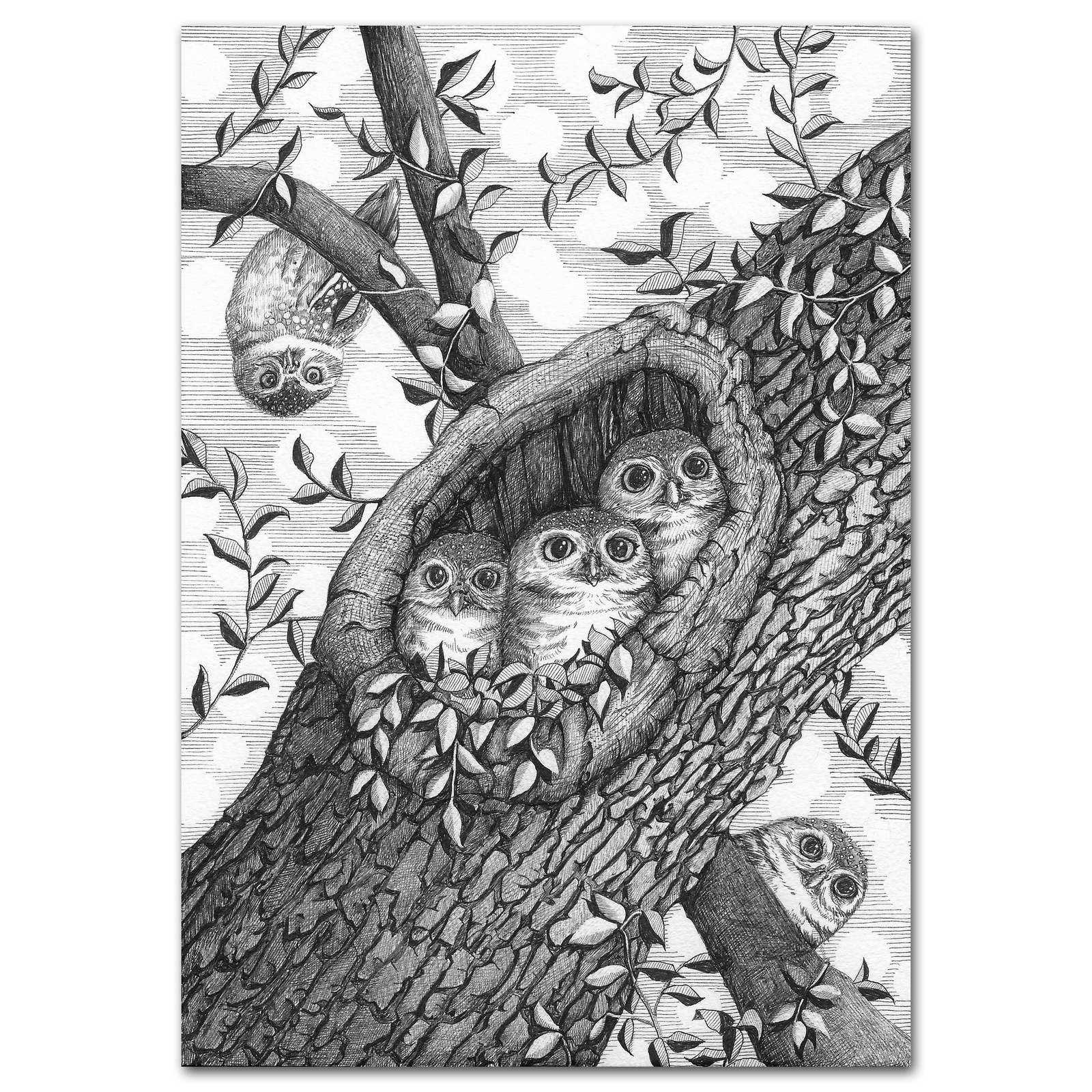 フクロウ - イラストの人気通販 | minne byGMOペパボ 国内最大級
