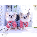 犬服 ギンガムチェック レッド 赤 チュニック スモック フリル ゴム入り わんこ服 小型犬 インナー 重ね着 コーディネート ファッション オシャレ シンプル 春夏秋冬 ハンドメイド オーダー