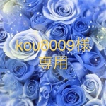 kou8009様専用ページ