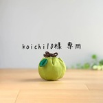 koichi10様 専用