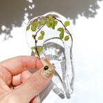 ヘアスティックbig botanical