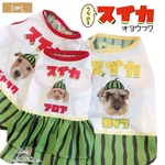 うちの子🐶スイカ🍉タンク