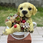 ★送料無料★♡そのまま飾れる♡コーヒーカップわんちゃん♬多肉植物寄せ植え╰(*´︶`*)╯♡