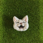 プチ猫　にっこり　白猫