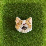 プチ猫　にっこり　茶トラ猫