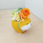 〈プリザーブドフラワー〉四つ足柴犬