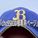 『cho55830様専用ページ』