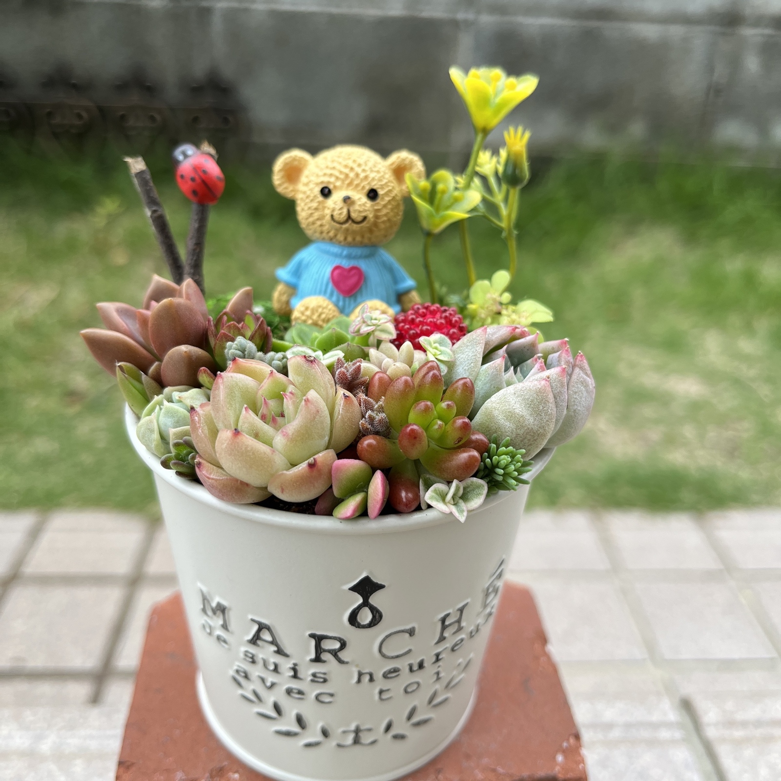 ★ ほのぼのピクルス★クリスマスが待ち遠しいクマちゃん★多肉鉢★ ☆ ほのぼのピクルス様専用☆クリスマスが待ち遠しいクマちゃん