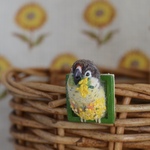 ブローチ)窓枠からこんにちは_ミモザ刺繍とワキコガネウロコインコ_brooch\wool felt\conure\embroidery