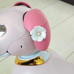 おおぶりのお花🌸