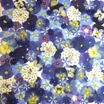 ♡new♡作家様必見♡押し花MIXセット♡押し花セット