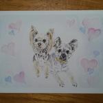 【leocolo-mama様オーダー品】愛犬イラスト