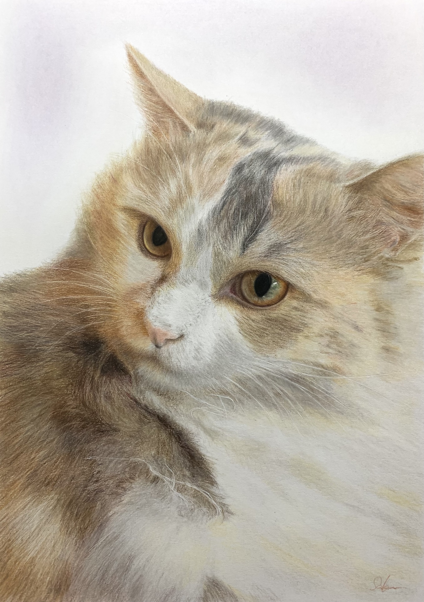 ペットの似顔絵オーダー　猫 ペット似顔絵 オーダーメイド イラスト 犬 猫 うさぎ うちの子