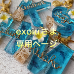 exoiuさま専用:フルオーダー♡イニシャルキーホルダー