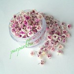 New!10期かすみ草【魅惑のヴァイオレット♡40枚+α枚】カラフルつぼみのオマケ付きドライフラワー