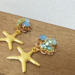 【送料無料】海の中のstarfishピアス/イヤリング