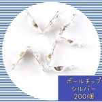 専用　ボールチップ　シルバー400.ゴールド400
