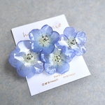ネモフィラのお花畑-ブローチ- 本物のネモフィラのアクセサリー 2023（ドライフラワー 花 青 ウェディング 結婚式）