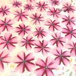 ♡new♡オーダー押し花♡バーベナの押し花セット♡