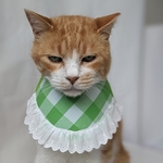 メロンコスプレ