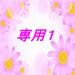 専用ページ