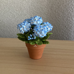 9 紫陽花　花鉢　