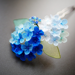 青紫陽花