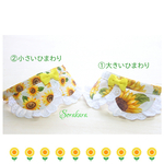 ひまわり🌻の襟付き猫ちゃん首輪