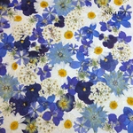♡new♡作家様必見♡押し花MIXセット♡押し花セット