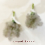 ༜ rika5257様 専用ページ༜