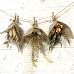 ドライフラワー  ミニスワッグのガーランド