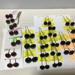 cさま専用ページ