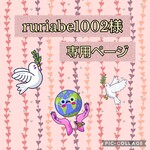 💠 ruriabe1002様専用ページ🍃💠 