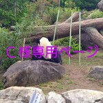 ごろりんパンダ♡ヘアゴム